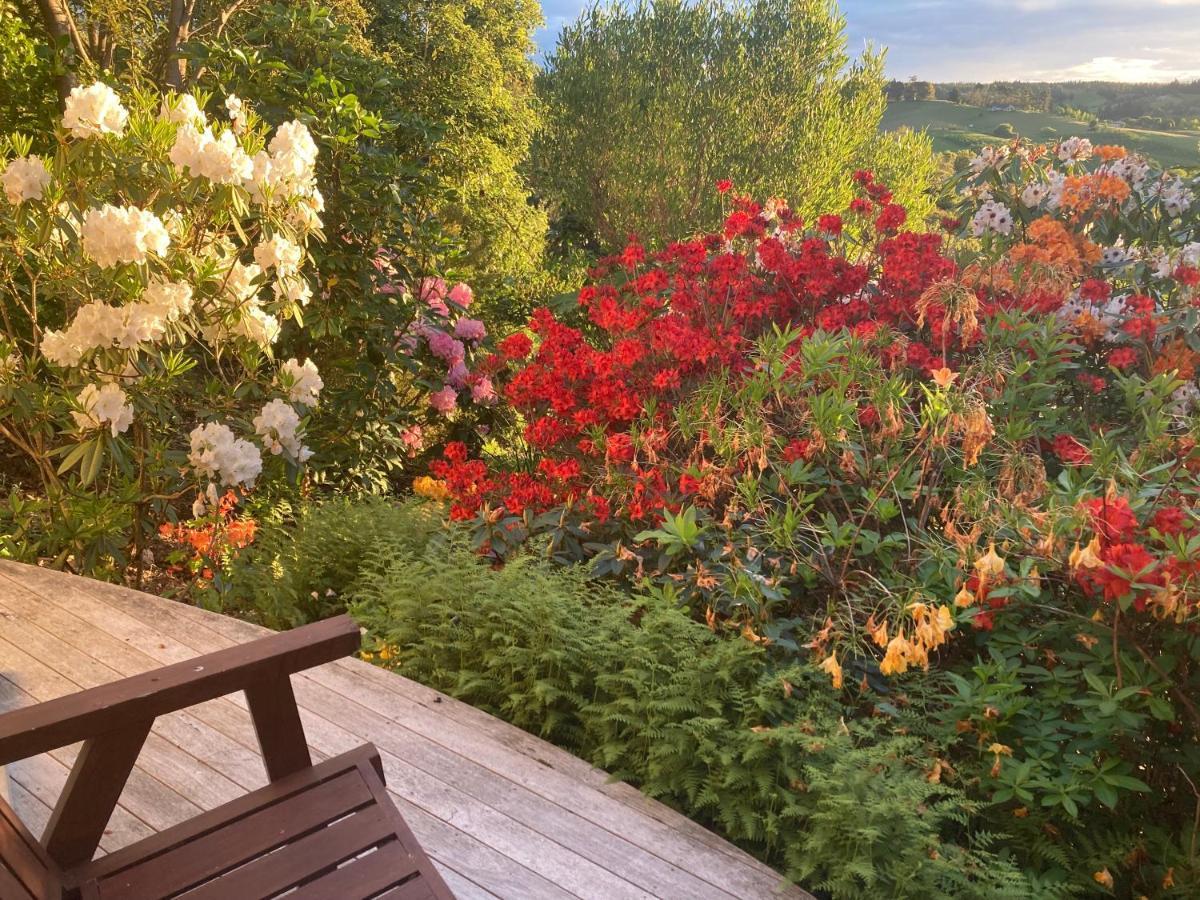 2 Views At Tasman Bed & Breakfast Luaran gambar