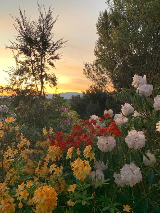 2 Views At Tasman Bed & Breakfast Luaran gambar